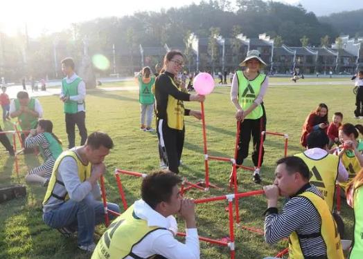 庆阳五星级型户外企业培训